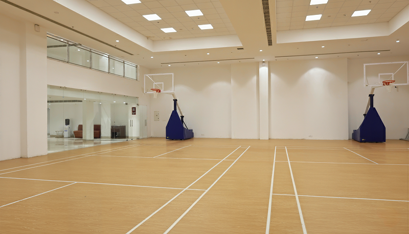 Ambience Creacions — Basketball Court